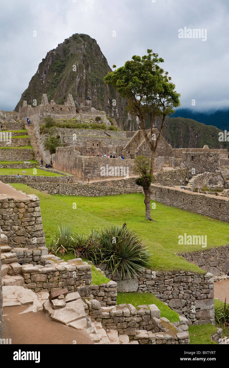 Les ruines Inca de Machu Picchu, au Pérou, en Amérique du Sud. Banque D'Images