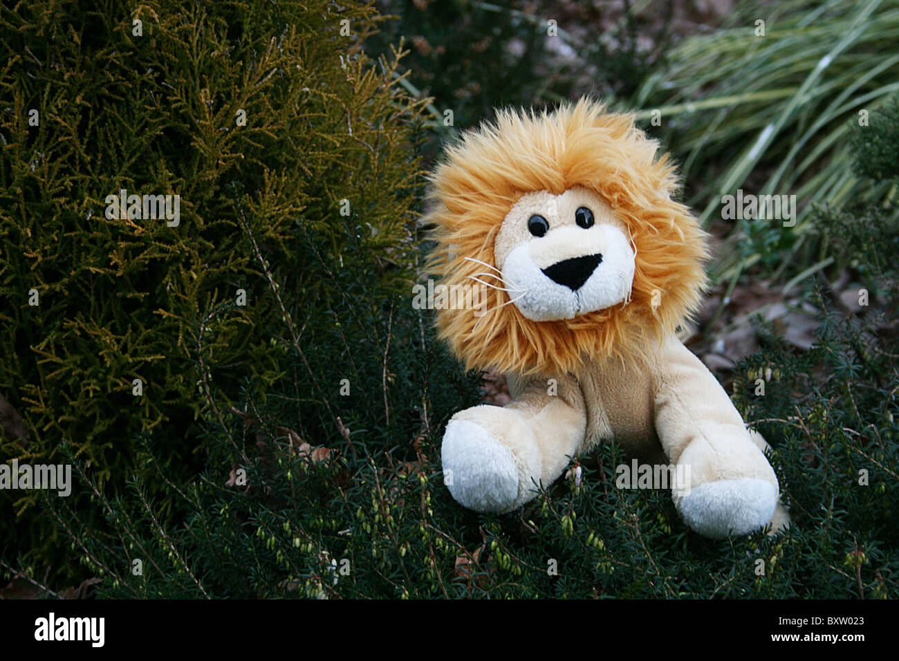 Toy lion, tigre, animal, zoo, safari, peluche, jardin, enfants, enfant, enfants, jouets, animaux, arbres, caresser l'amour, l'affection, doux, Banque D'Images