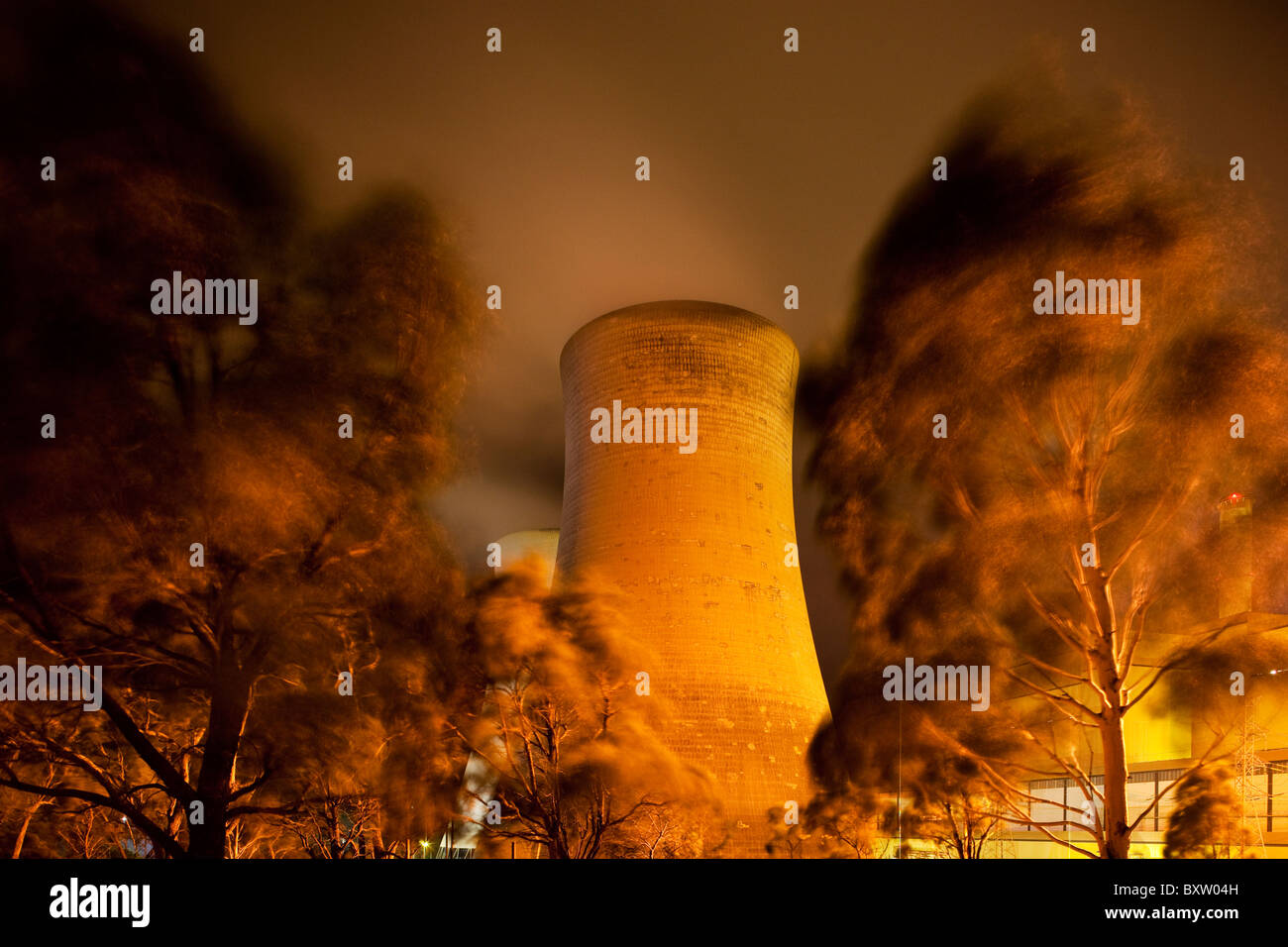 Australie Victoria Yallourn exposition Temps d'eucalyptus blowing in wind ci-dessous la ventilation de la vapeur des tours de refroidissement à Banque D'Images