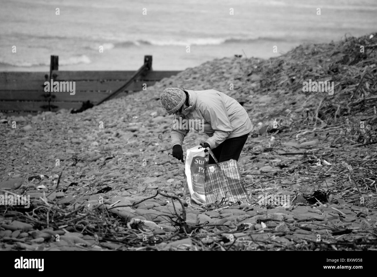 Une vieille dame à ramasser du bois pour le feu sur la plage du nord aberaeron Banque D'Images