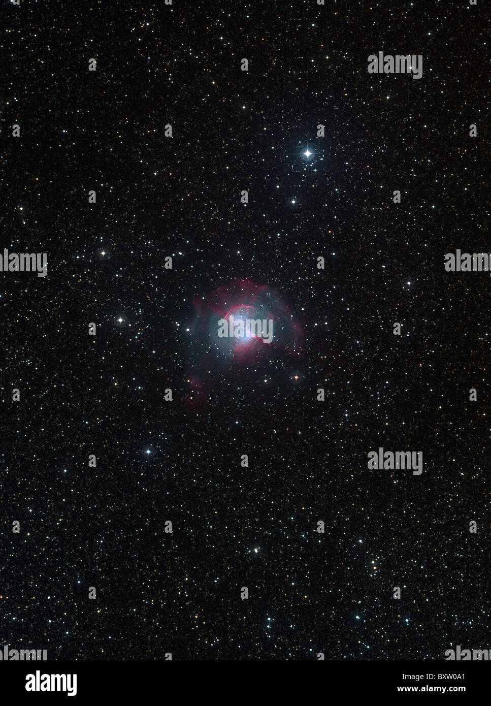 Messier 27, également connu sous le nom de Nébuleuse de l'haltère, est une  nébuleuse planétaire dans la constellation Vulpecula Photo Stock - Alamy