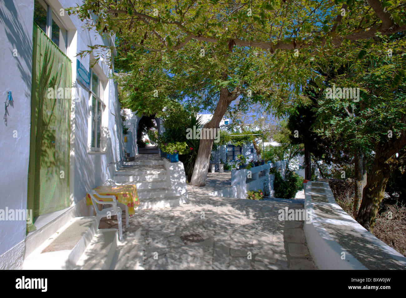 Deux quilles fusionner en face d'une taverne dans le village d'Arnados, sur l'île de Tinos Cyclades grecques. Banque D'Images