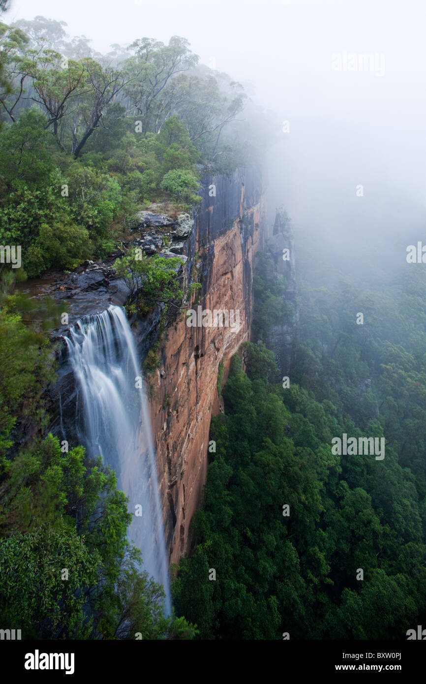 L'Australie, Nouvelle Galles du Sud, le Parc National de Budderoo, cascade se déverse sur falaise en forêt amazonienne en été, le brouillard et la pluie Banque D'Images