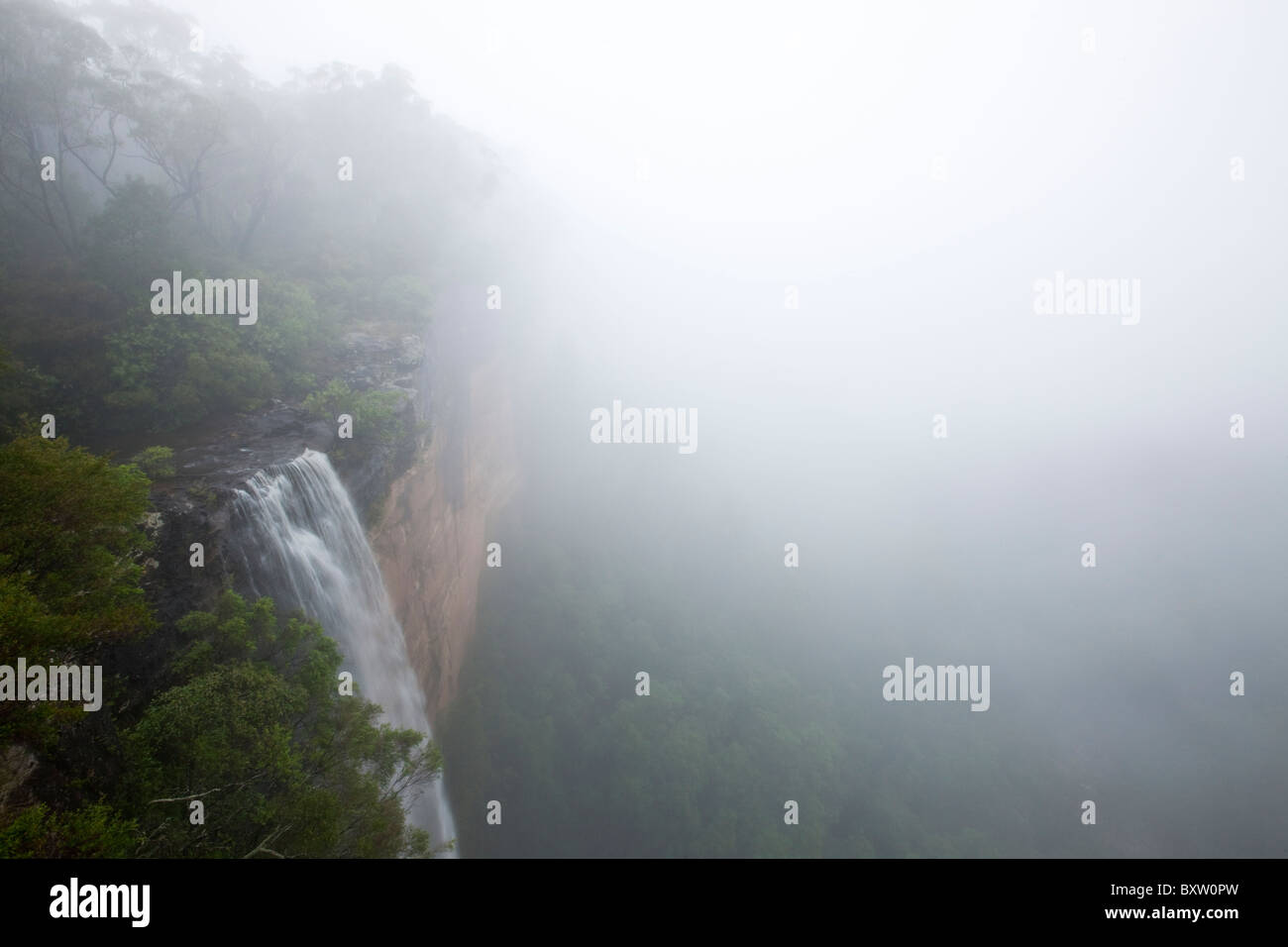 L'Australie, Nouvelle Galles du Sud, le Parc National de Budderoo, Fitzroy Falls verse plus de falaise dans les forêts tropicales de l'été dans le brouillard et la pluie Banque D'Images