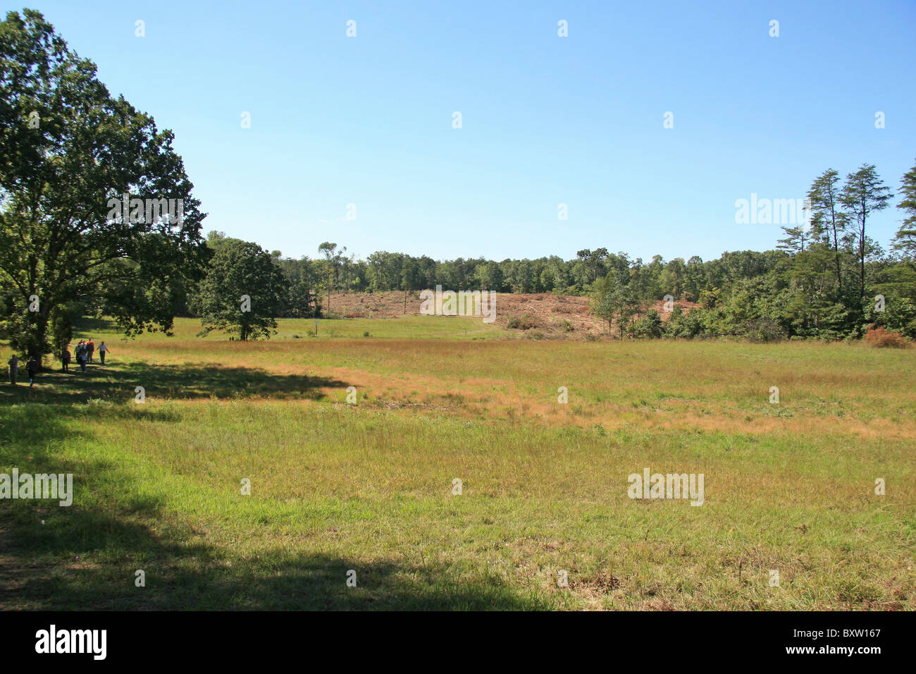 Vue vers le haut, sur la profonde coupure Manassas National Battlefield Park, Virginia, United States. Banque D'Images