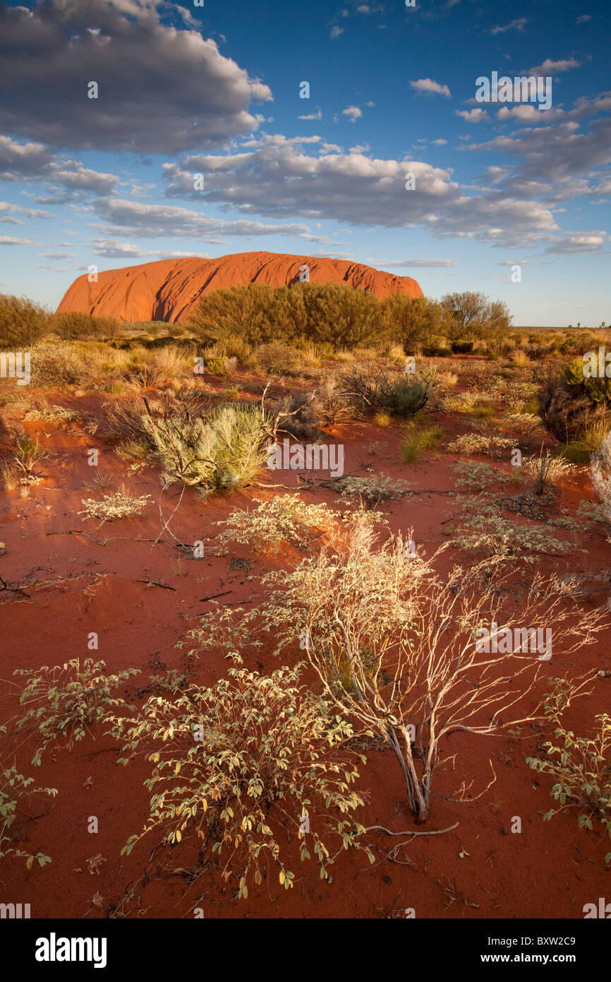 Territoire du Nord Australie Uluru - Kata Tjuta National Park Coucher de soleil s'allume rouge désert de sable entourant sur Ayers Rock Banque D'Images