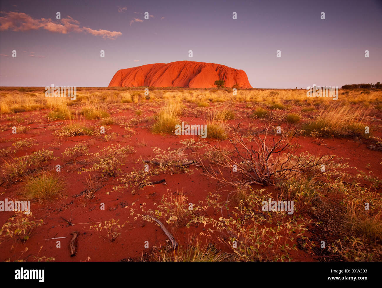 L'Australie, Territoire du Nord, Uluru - Kata Tjuta National Park, Ayers Rock est orange au crépuscule sur soirée d'été Banque D'Images
