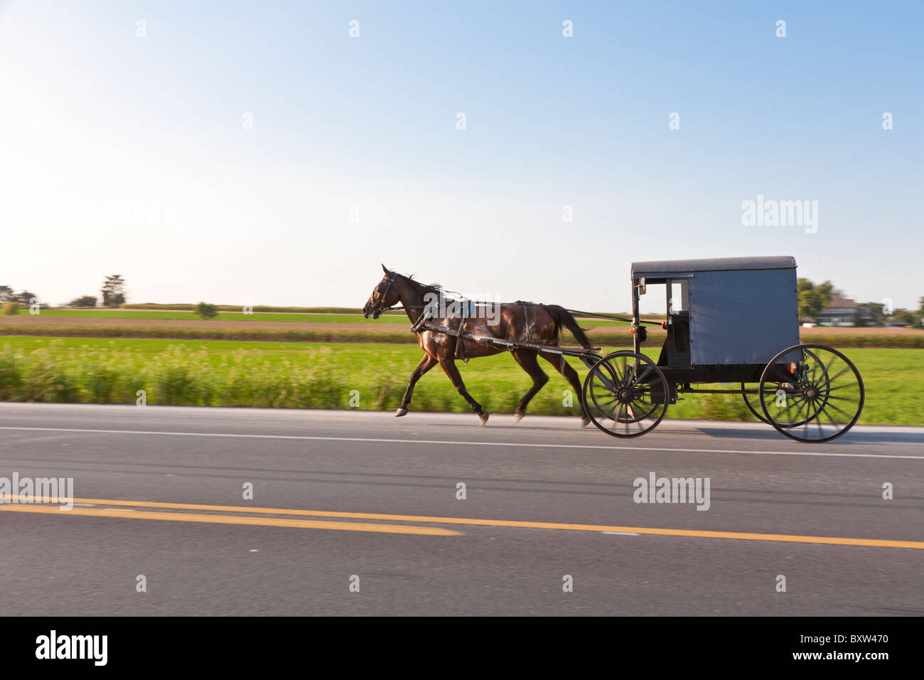 Voiture à cheval est le moyen de transport principal pour les Amish dans le comté de Lancaster en Pennsylvanie Banque D'Images