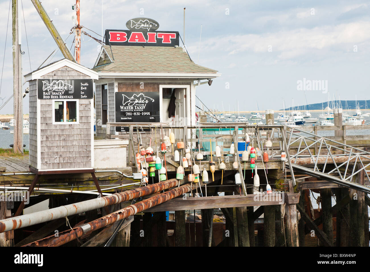 Accrocher les bouées de homard sur main courante en face de Jake's Water Taxi et Bait shop sur le quai de la ville de Plymouth au Massachusetts Banque D'Images