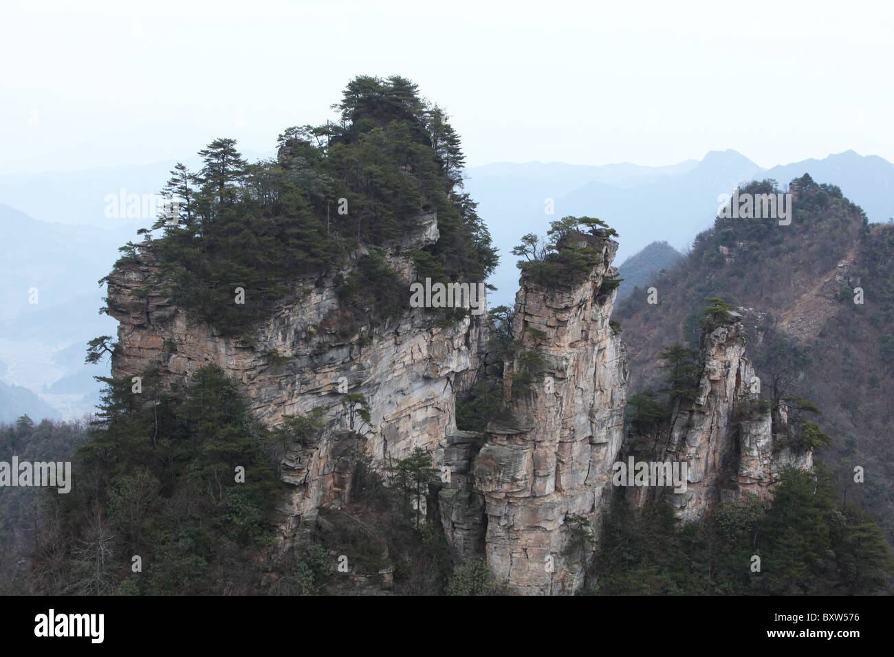 Parc forestier national de Zhangjiajie, Wulingyuan Scenic Area, Chine, province du Hunan Banque D'Images