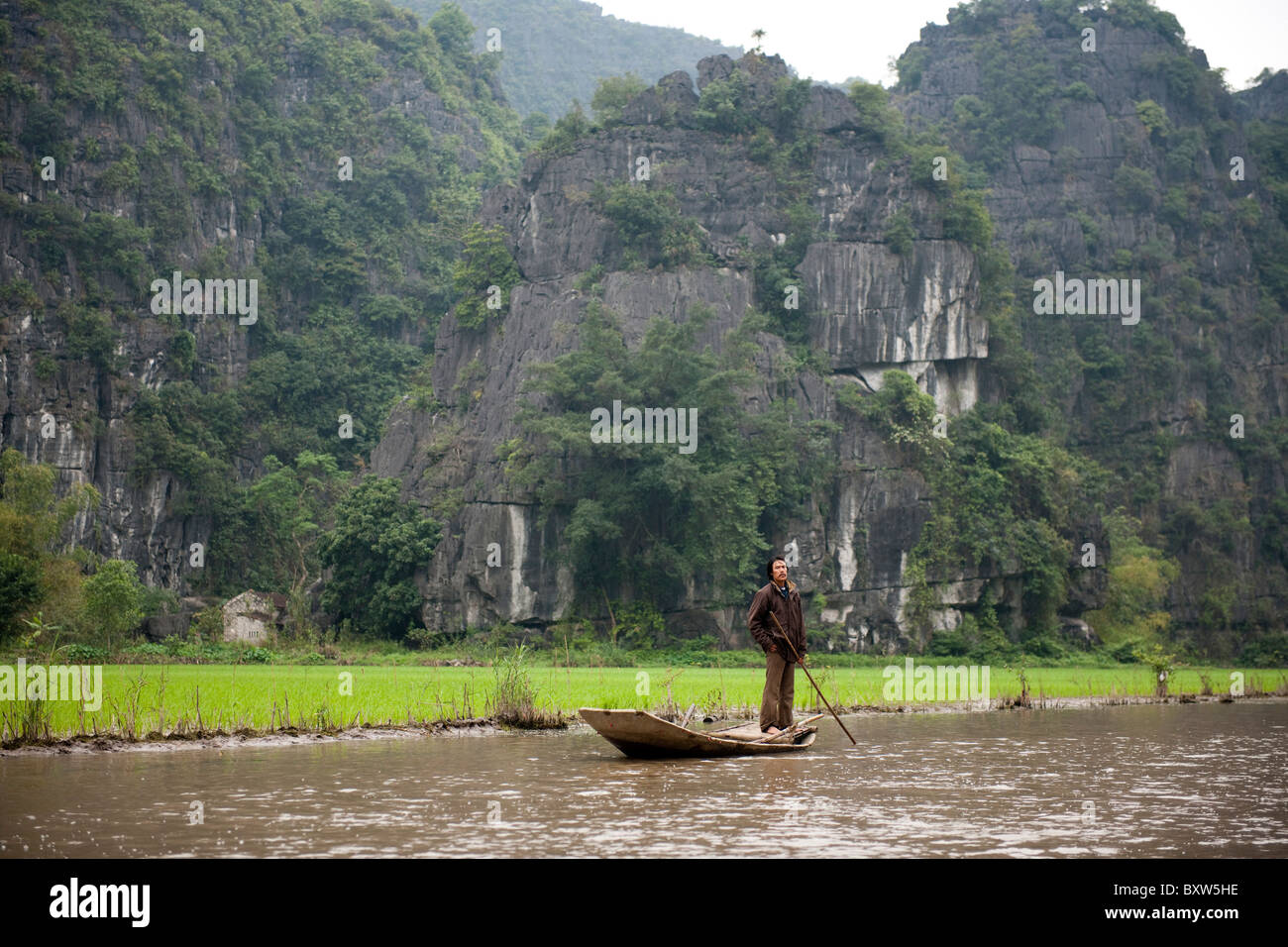 Agriculteur à ses rizières, Tam Coc, Ninh Binh, Vietnam Banque D'Images