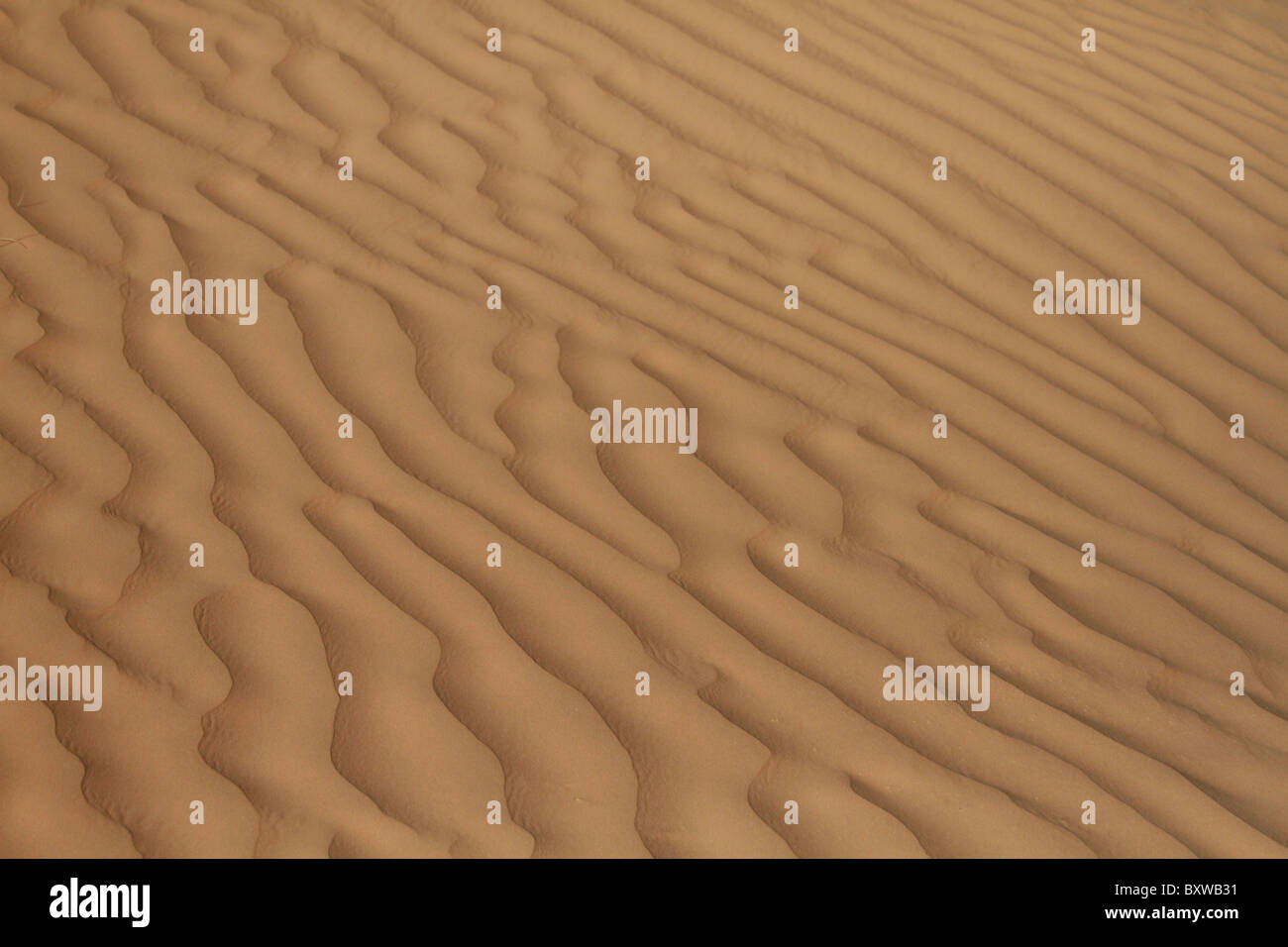Plage de sable, sable, sahara, texture, dune, l'arrière-plan, Banque D'Images