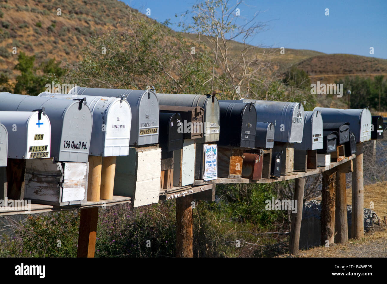 Boîtes aux lettres alignés pour la livraison du courrier dans une région rurale près de Challis, Idaho, USA. Banque D'Images