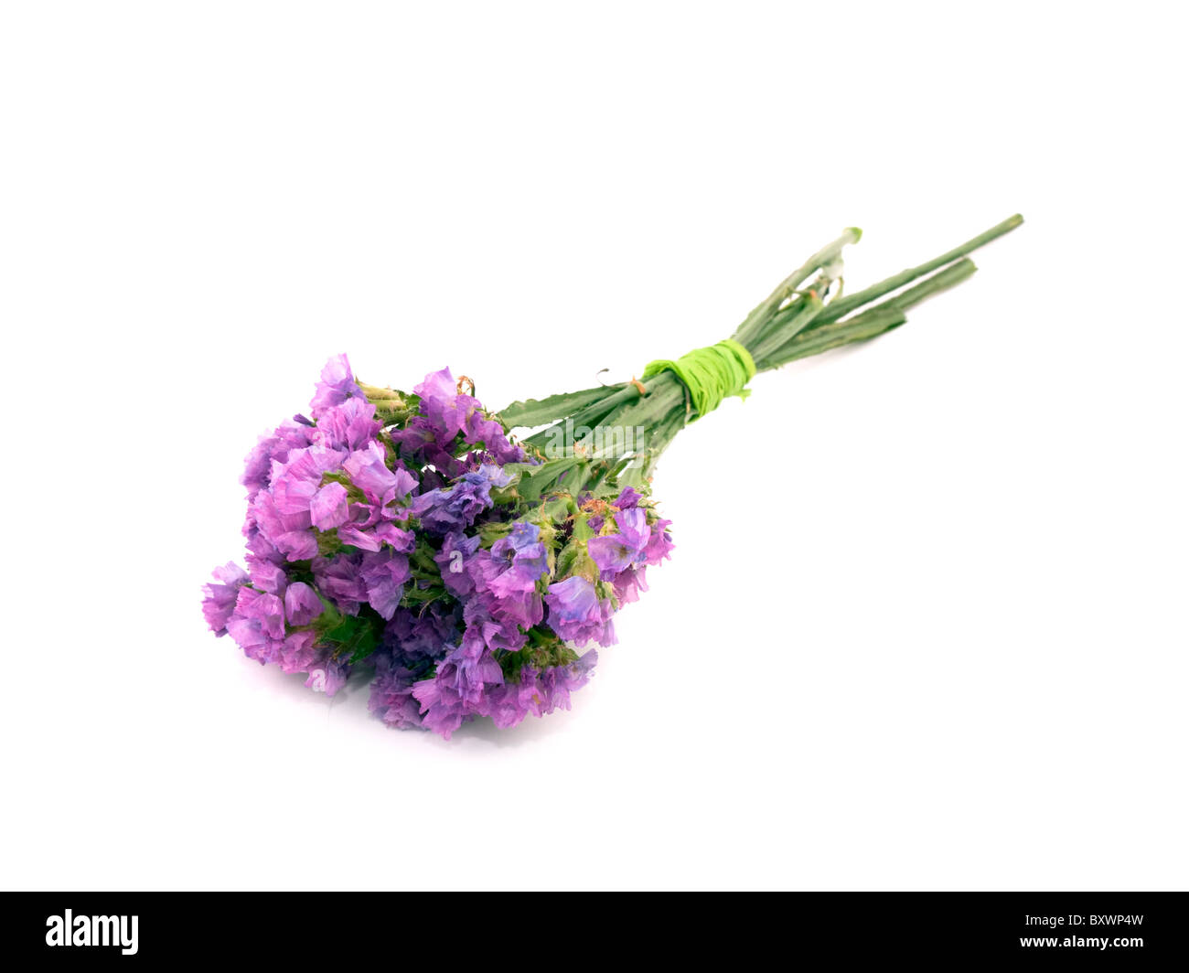 Petit Bouquet De Fleurs Rose Statice Sur Fond Blanc Banque D