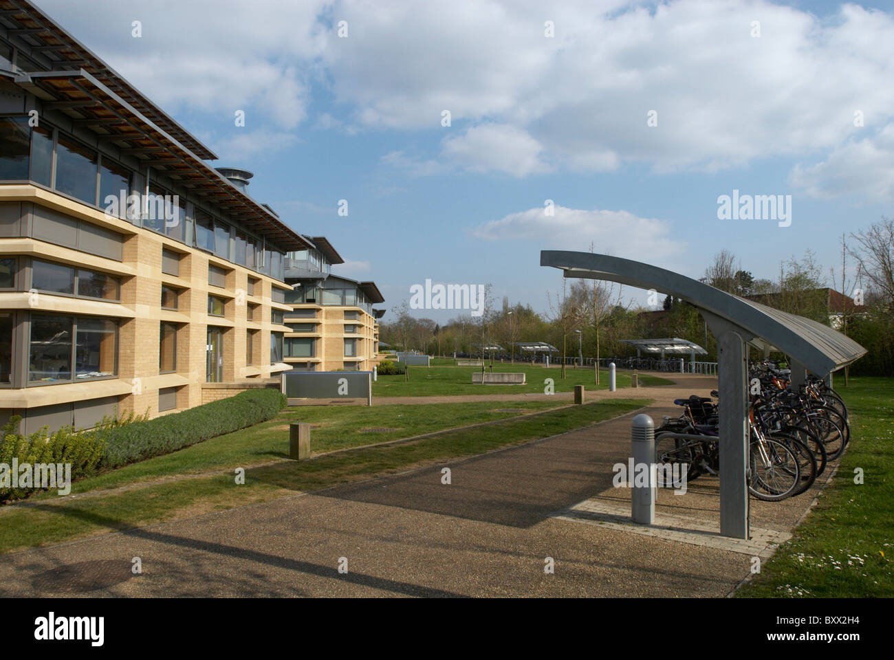 Rack à vélo à l'extérieur du Département de Mathématiques Appliquées et de physique théorique de l'Université de Cambridge CAMBRIDGE UK Banque D'Images