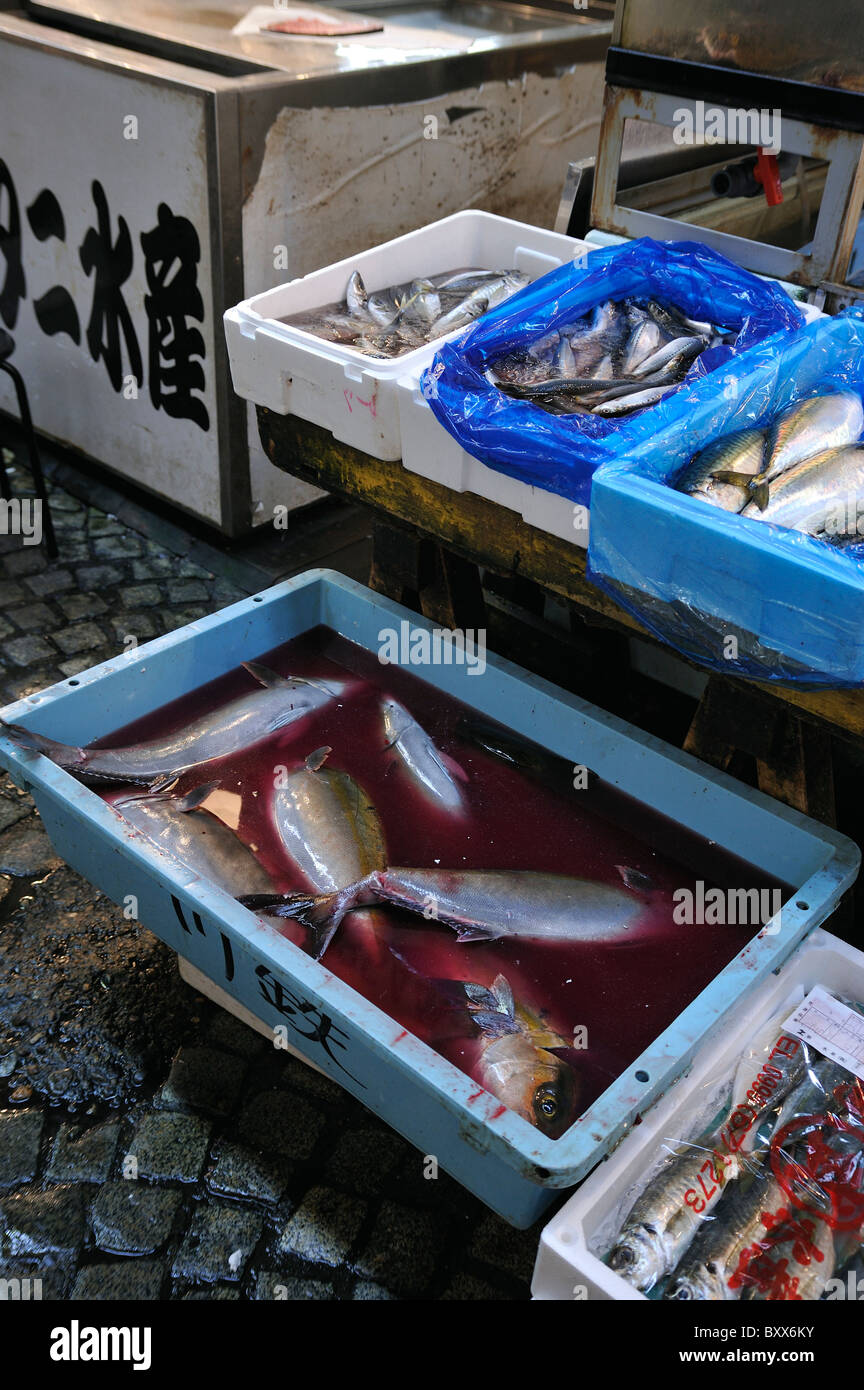 Poissons en boîte avec de l'eau sanglante au marché aux poissons de Tsukiji, Tokyo, Japon Banque D'Images