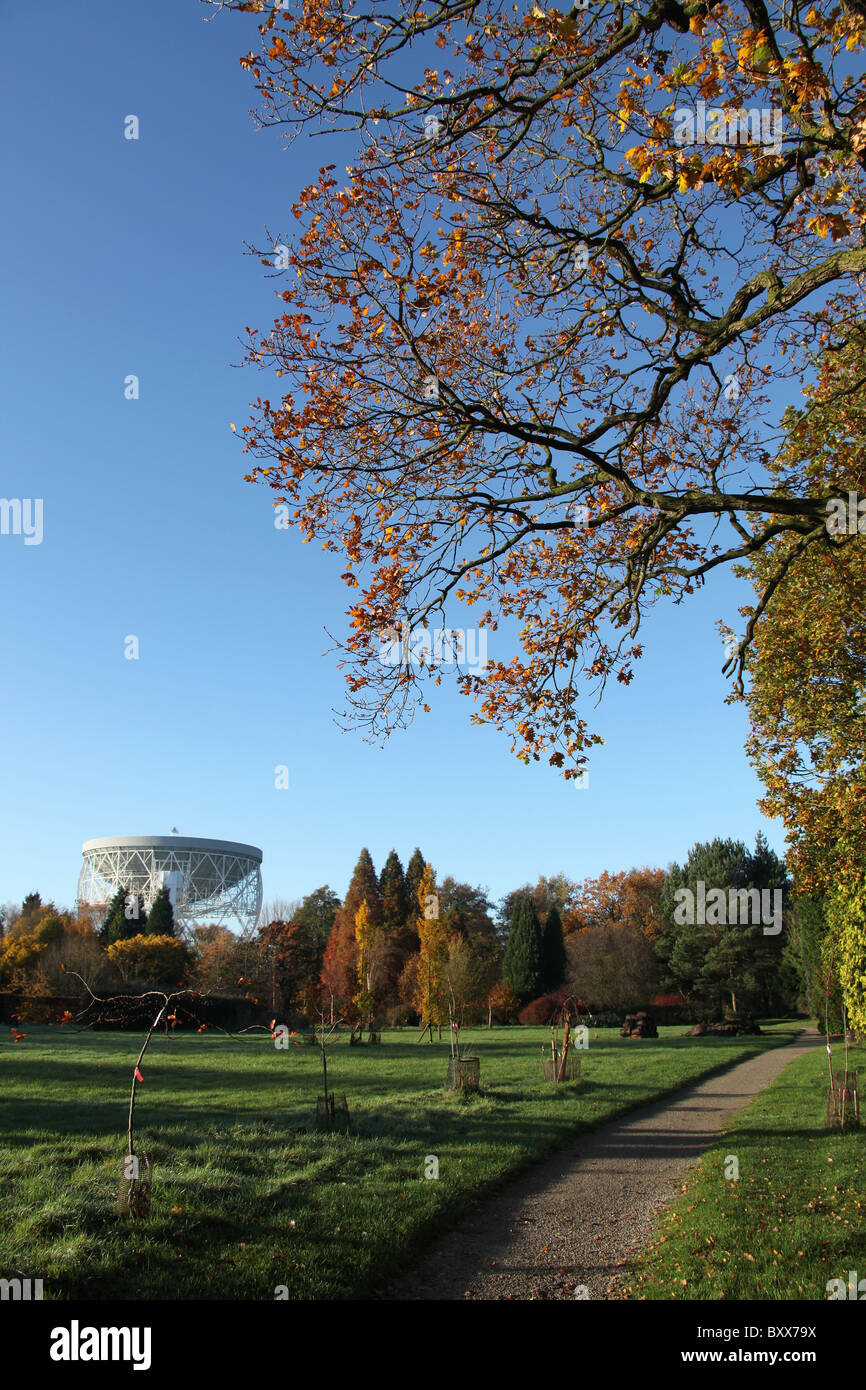 Arboretum de Jodrell Bank, en Angleterre. Vue d'automne de l'Arboretum de Jodrell Bank, avec le télescope Lovell dans l'arrière-plan. Banque D'Images