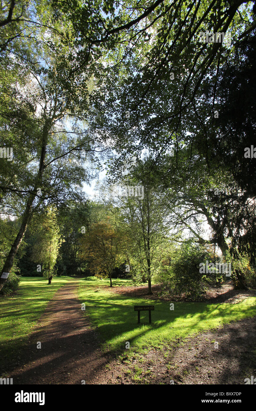 Norton Priory Museum & Gardens. Vue d'automne de la Norton Priory gardens. Banque D'Images