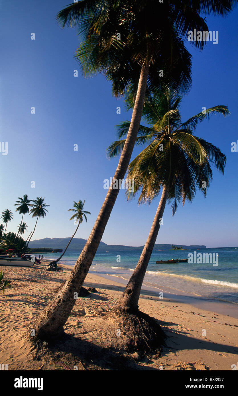 Playa las Galeras, République dominicaine, Samana-Peninsula Banque D'Images