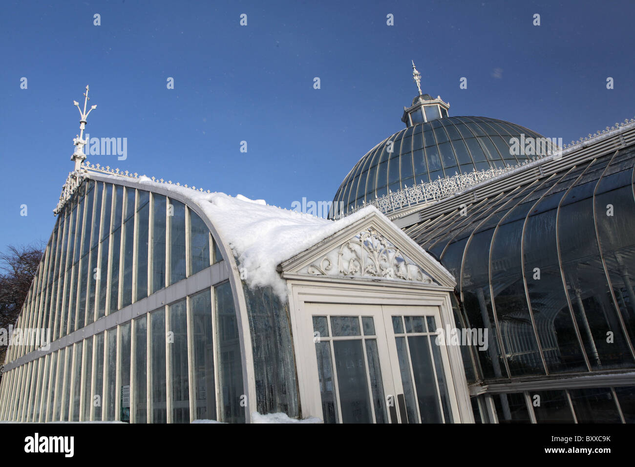 Une scène de neige de Kibble Palace serre victorienne aux jardins botaniques, Glasgow, Ecosse. Banque D'Images