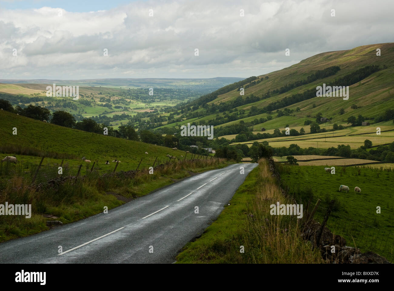 Wensleydale North Yorkshire Dales UK Banque D'Images