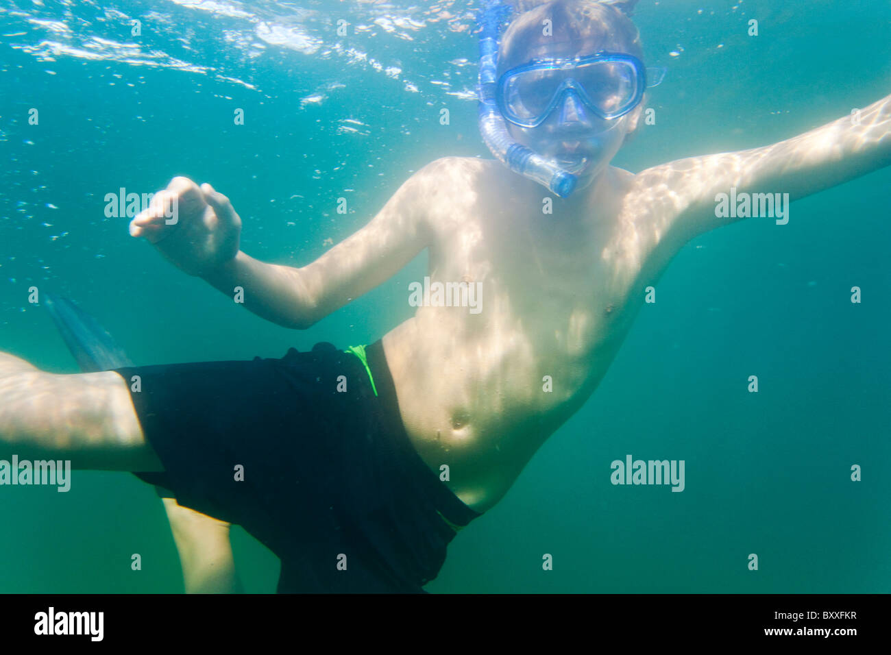 Tuba adolescent dans l'eau de Salto(Saltö) Suède Banque D'Images