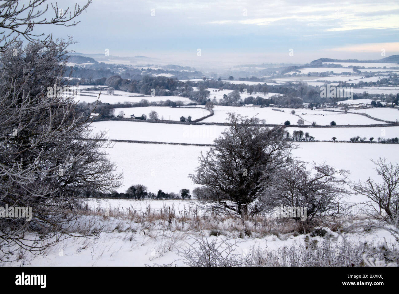 Une vue d'hiver de Charlton en bas dans le coin sud-ouest de Wiltshire, Angleterre, Royaume-Uni. Banque D'Images