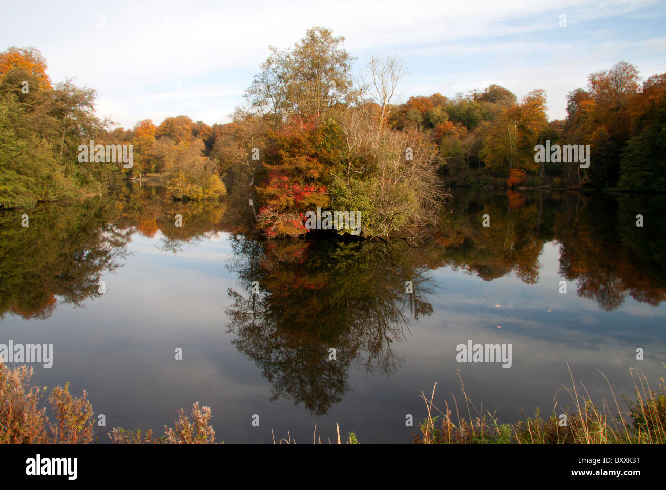 Réflexions d'automne dans les eaux calmes de Fonthill Lake, près de Fonthill Bishop, Wiltshire, Angleterre, Royaume-Uni. Banque D'Images