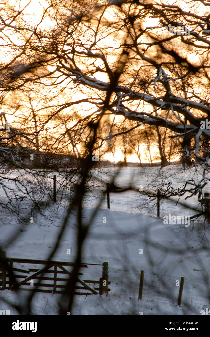 Flotterstone nr Penicuik -- de l'Écosse, Royaume-Uni - 8 janvier 2010. Photo : Russell Sneddon | TheScribe (Europe) Banque D'Images