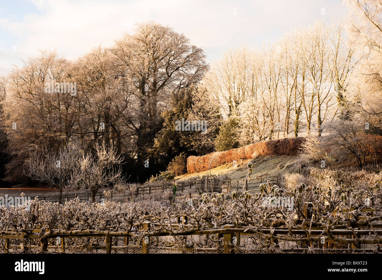 Painswick Rococo Garden à l'hiver, après une forte gelée, Gloucestershire, Angleterre, Royaume-Uni Banque D'Images