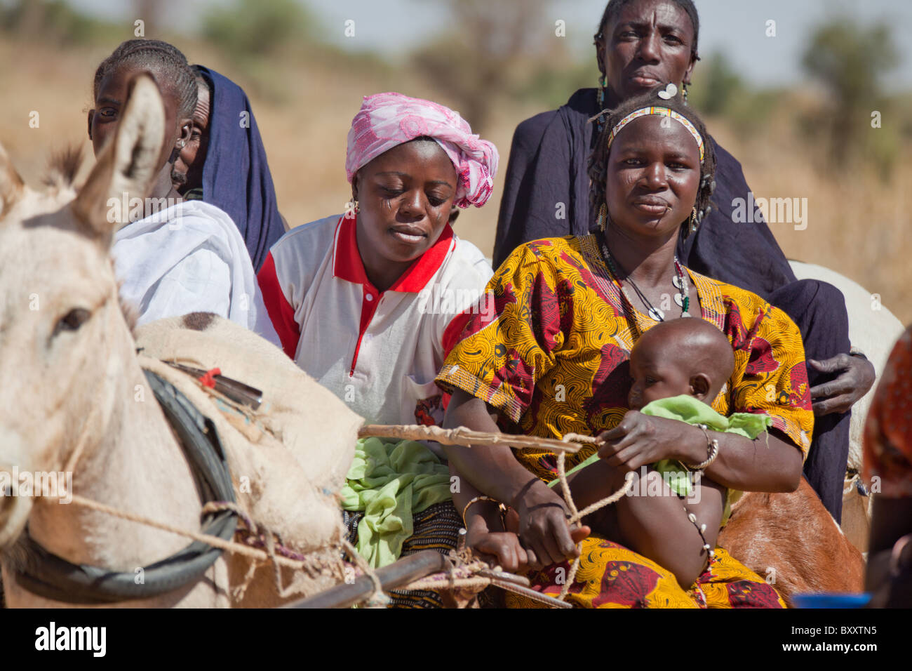 Un groupe de femmes Touaregs ride un ânes pour le marché Bourro dans le nord du Burkina Faso. Banque D'Images