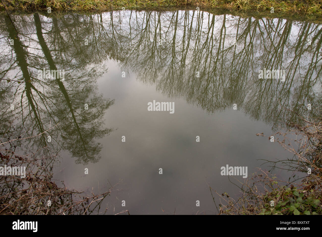 Arbres d'hiver se reflètent contre un ciel nuageux ciel janvier dans l'eau d'une rivière encore Banque D'Images