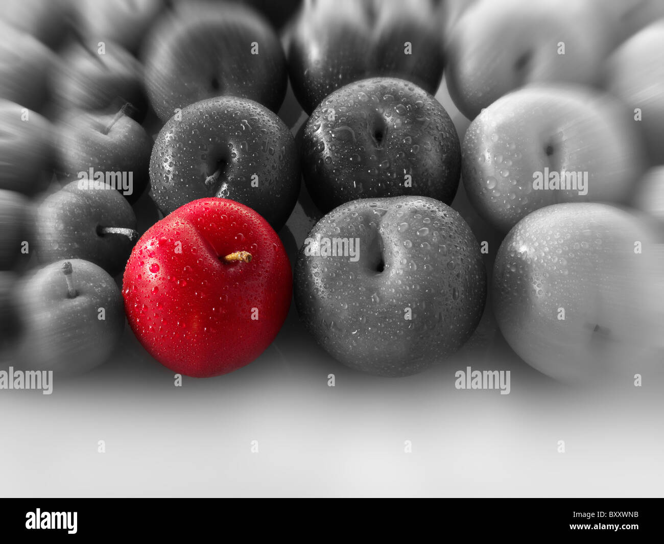 Une prunes rouges entre autres le noir et blanc prunes, odd one out Banque D'Images