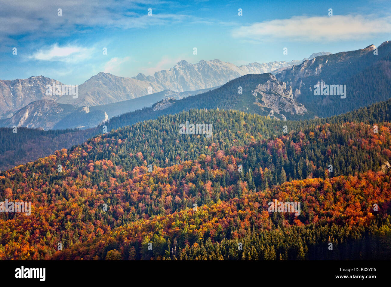 L'automne paysage de montagne vue de Kościelisko, Zakopane Banque D'Images
