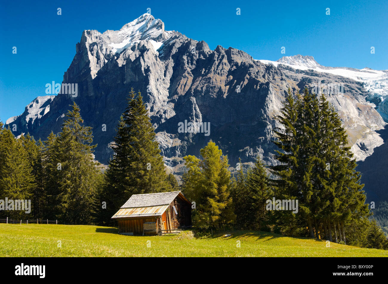 Pâturages avec des maisons traditionnelles-- Alpes Suisses, Grindelwald, Suisse Banque D'Images