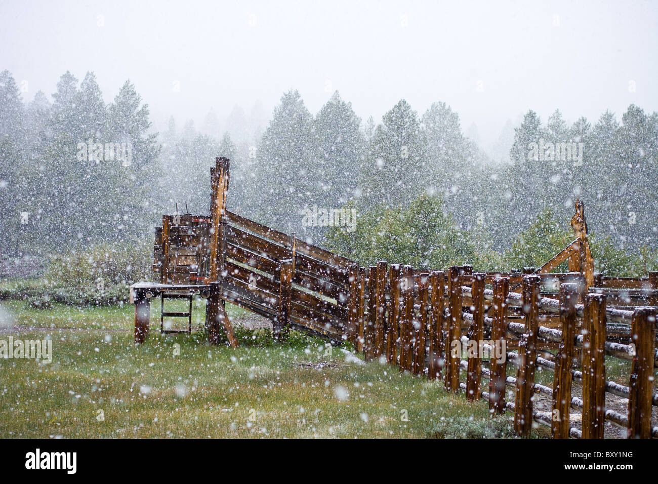 Chutes de neige sur un ranch dans les montagnes de la Sierra Nevada de Californie. Banque D'Images