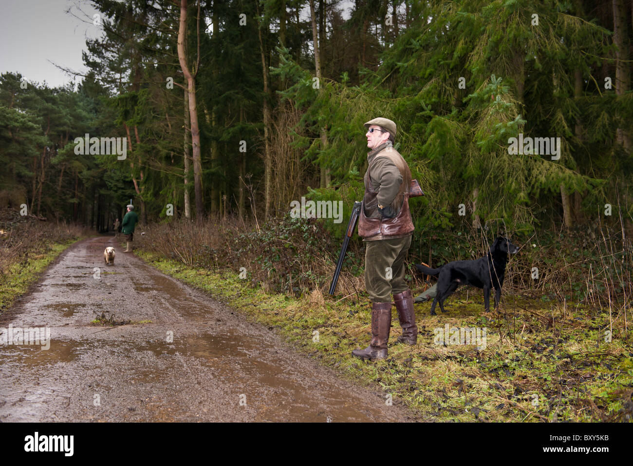 Le Pheasant Shoot Banque D'Images