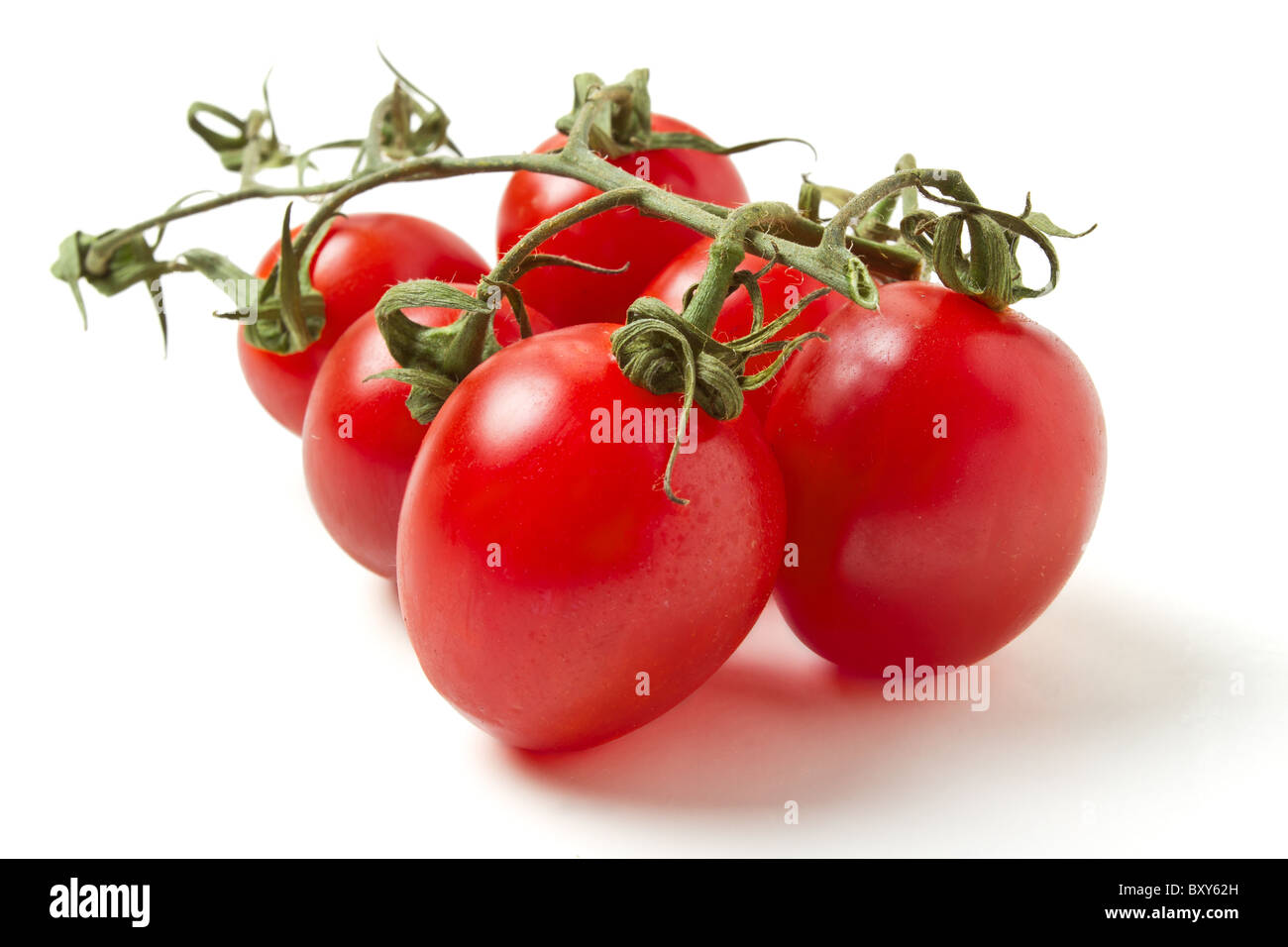 Les tomates de vigne prune vue faible isolé sur blanc. Banque D'Images