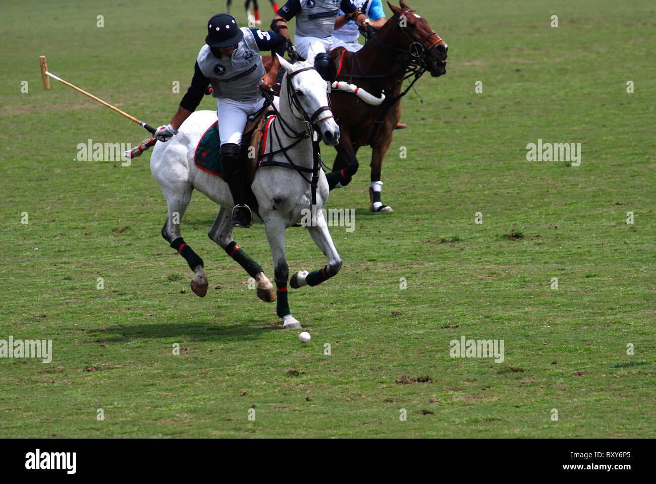 Joueur de Polo Banque D'Images