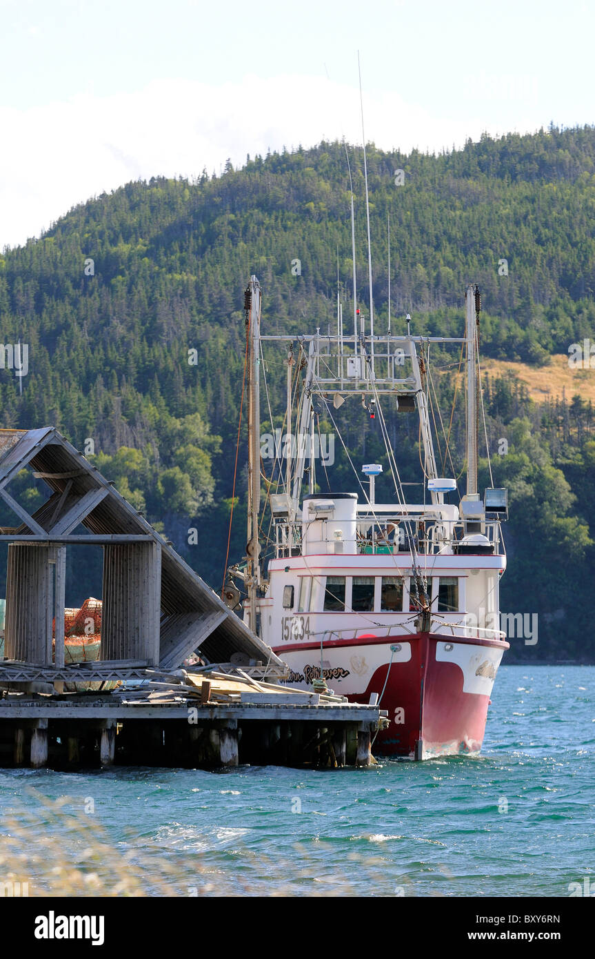 Bateau de pêche commerciale amarré à Trinity Newfoundland Banque D'Images