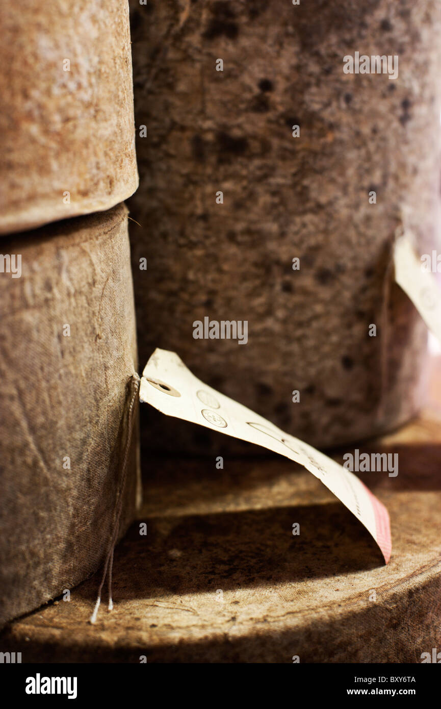 Fromages à l'Oxford Labled Cheese Shop dans le marché couvert. Banque D'Images