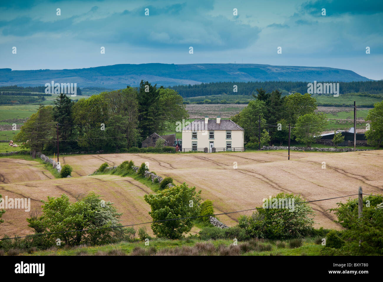 Ferme traditionnelle dans fermette en comté de Clare, Irlande Banque D'Images