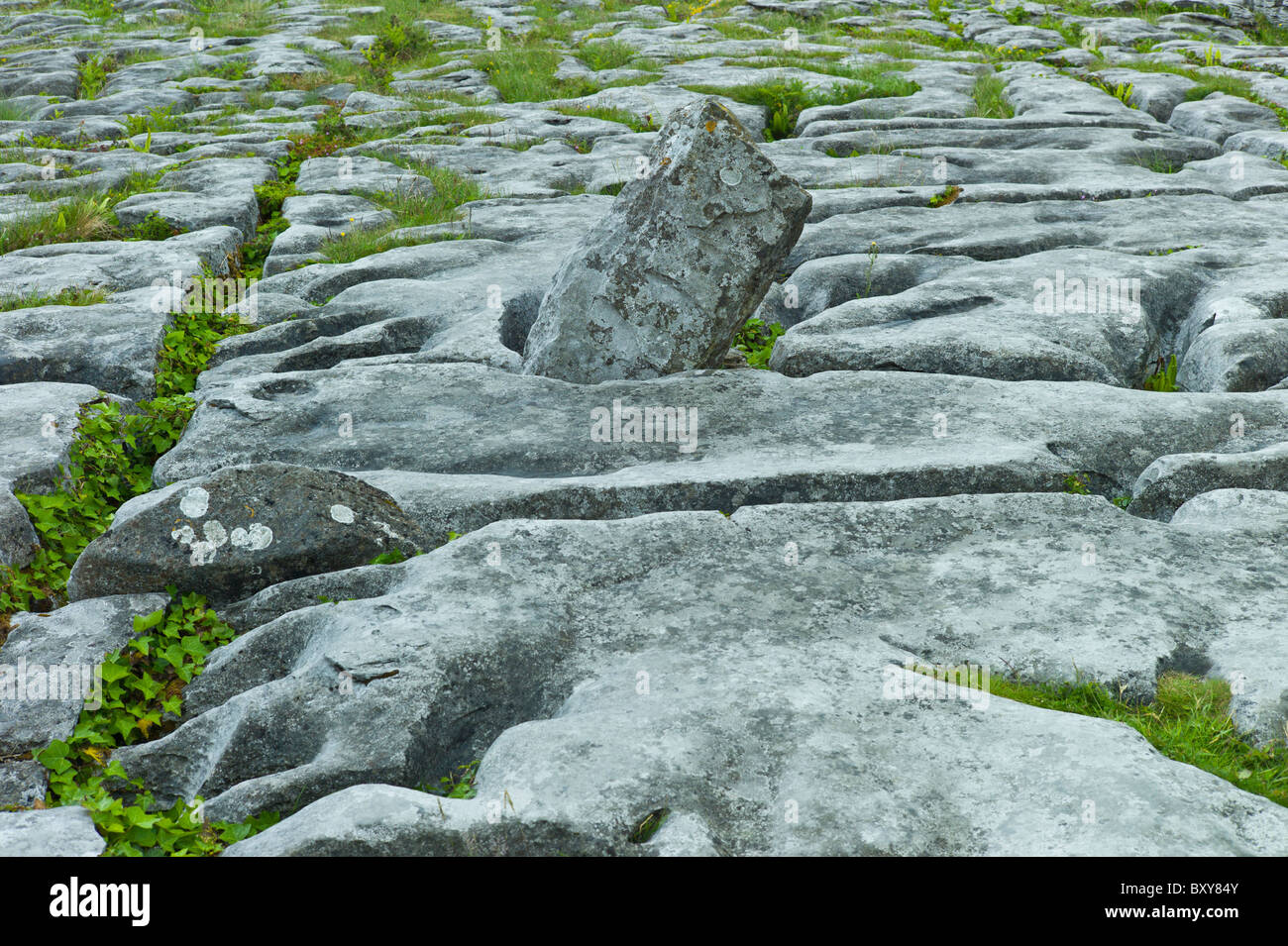 Lapiez karstiques glaciaire paysage dans le Burren, comté de Clare, à l'ouest de l'Irlande Banque D'Images