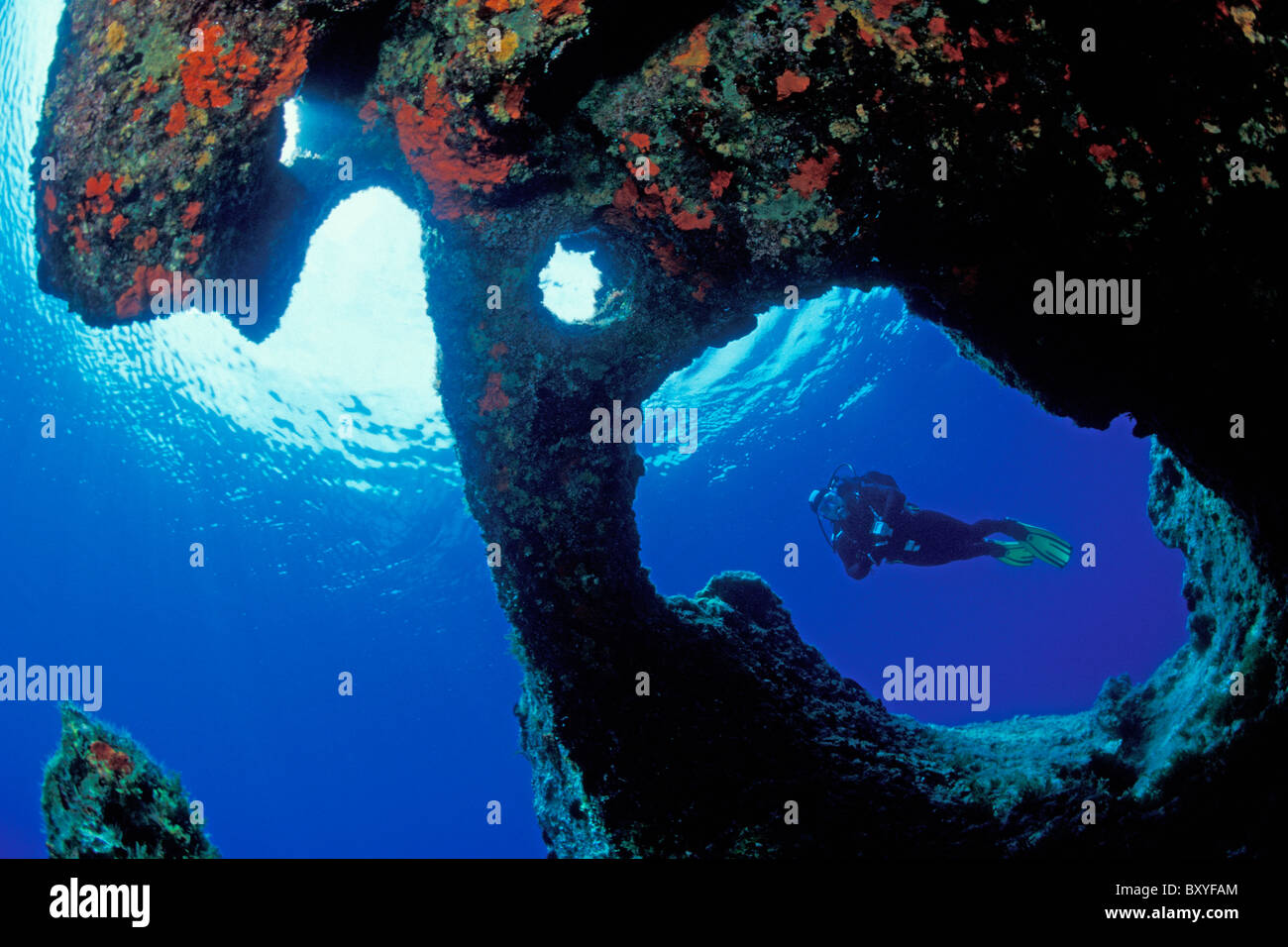 Plongeur sous-marin, en Dalmatie, Sušac, Mer Adriatique, Croatie Banque D'Images