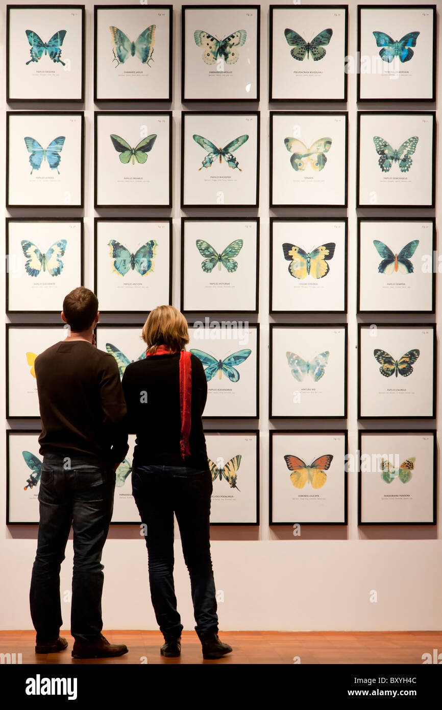 Deux jeunes gens étudient les dessins de papillon Banque D'Images