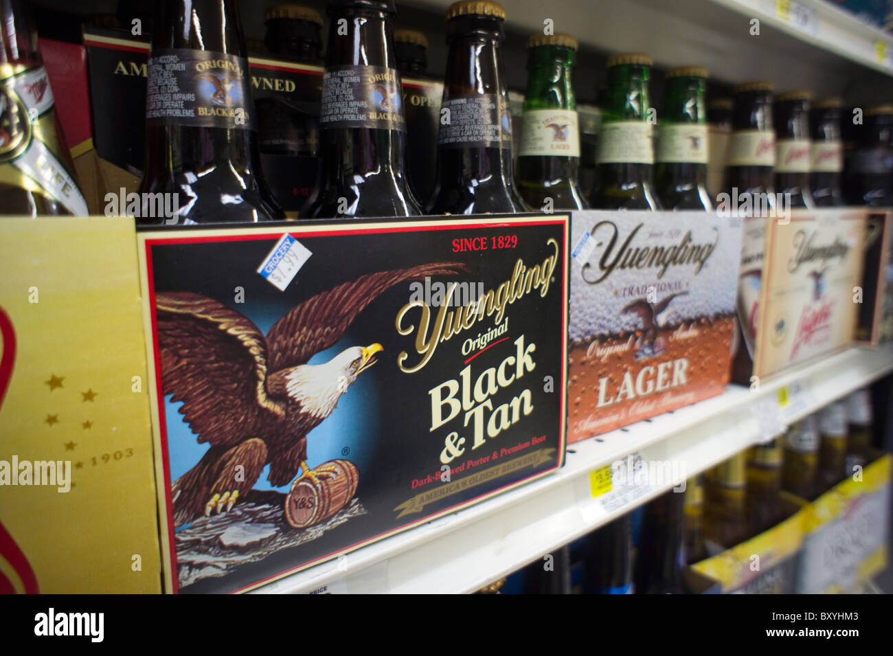 Six-pack de bière Yeungling sont vus sur une étagère d'épicerie à New York Banque D'Images