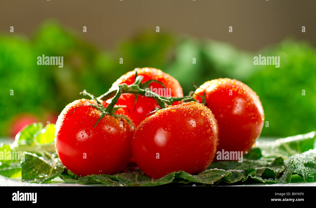 Sunny tomates sur vigne, assis sur les verts Banque D'Images