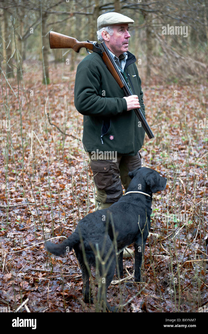 Le Pheasant Shoot Banque D'Images