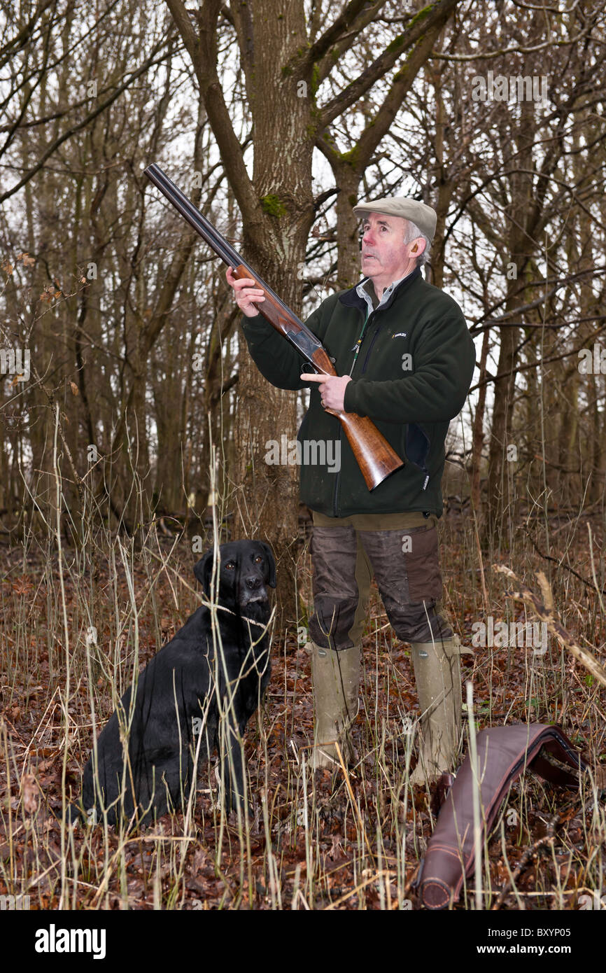 Le Pheasant Shoot Banque D'Images