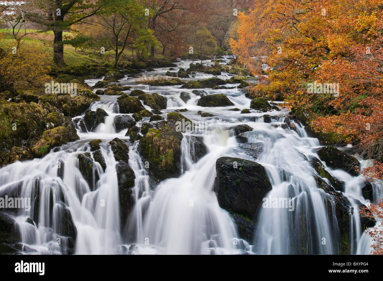 Swallow Falls, Betws-Y-coed wales,cascade,paysage, Banque D'Images